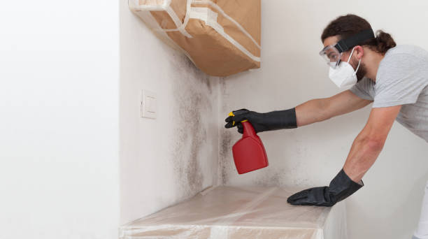 Professional Mold Testing technician working in Lumberville, PA