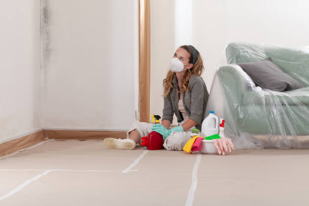 Reliable Mold Testing contractor in Lumberville, PA by WQB Mold Removal
